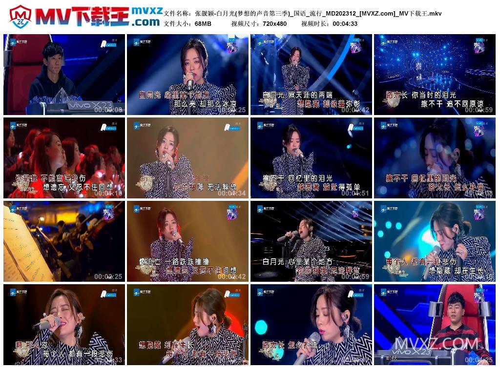 张靓颖-白月光(梦想的声音第三季)_国语_流行_MD202312